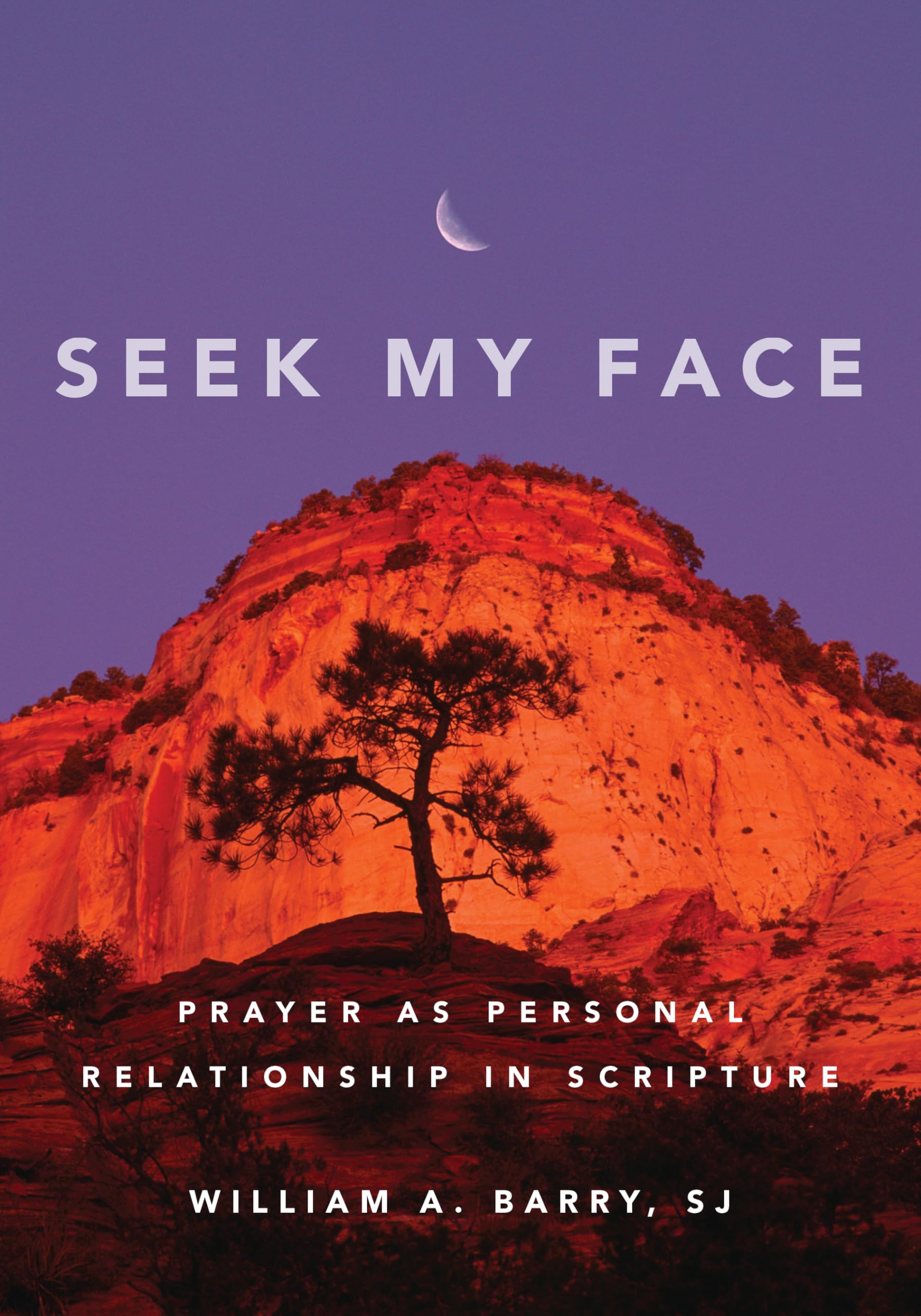 Seek My Face: Prayer as Personal Relationship in Scripture - 6727