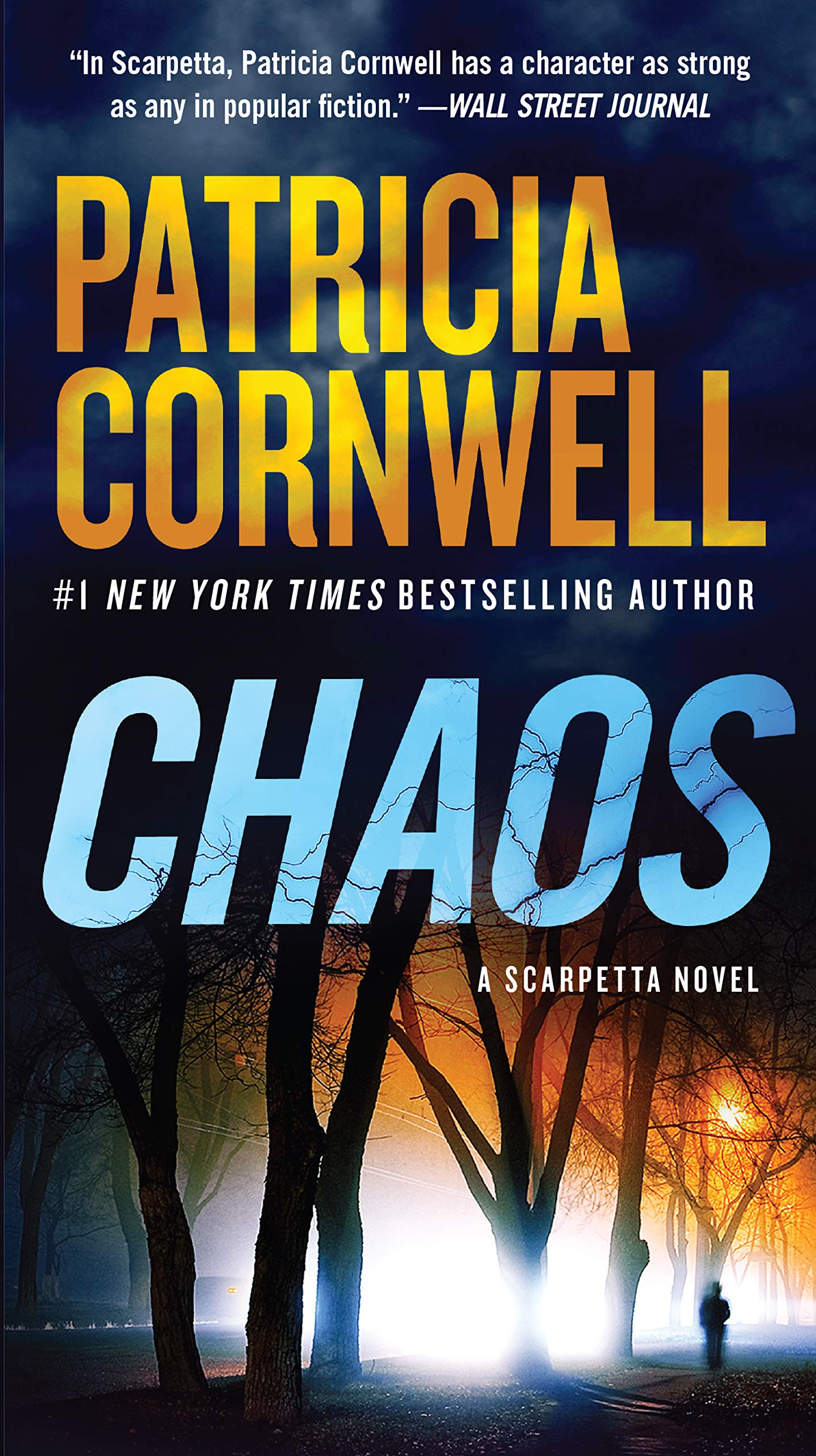 Chaos: A Scarpetta Novel (Kay Scarpetta Mysteries) - 2196