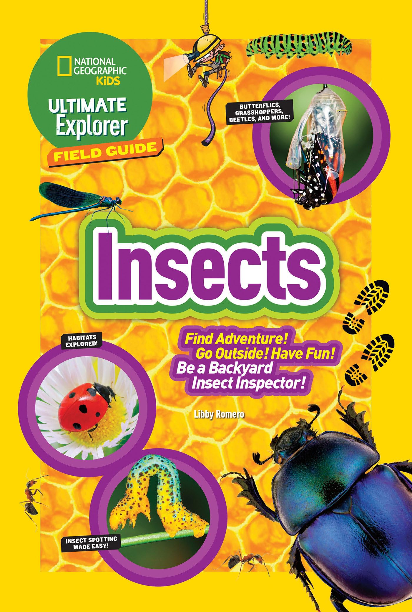 Ultimate Explorer Field Guide: Insects: Find Adventure! Go Outside! Have Fun! Be a Backyard Insect Inspector! - 355