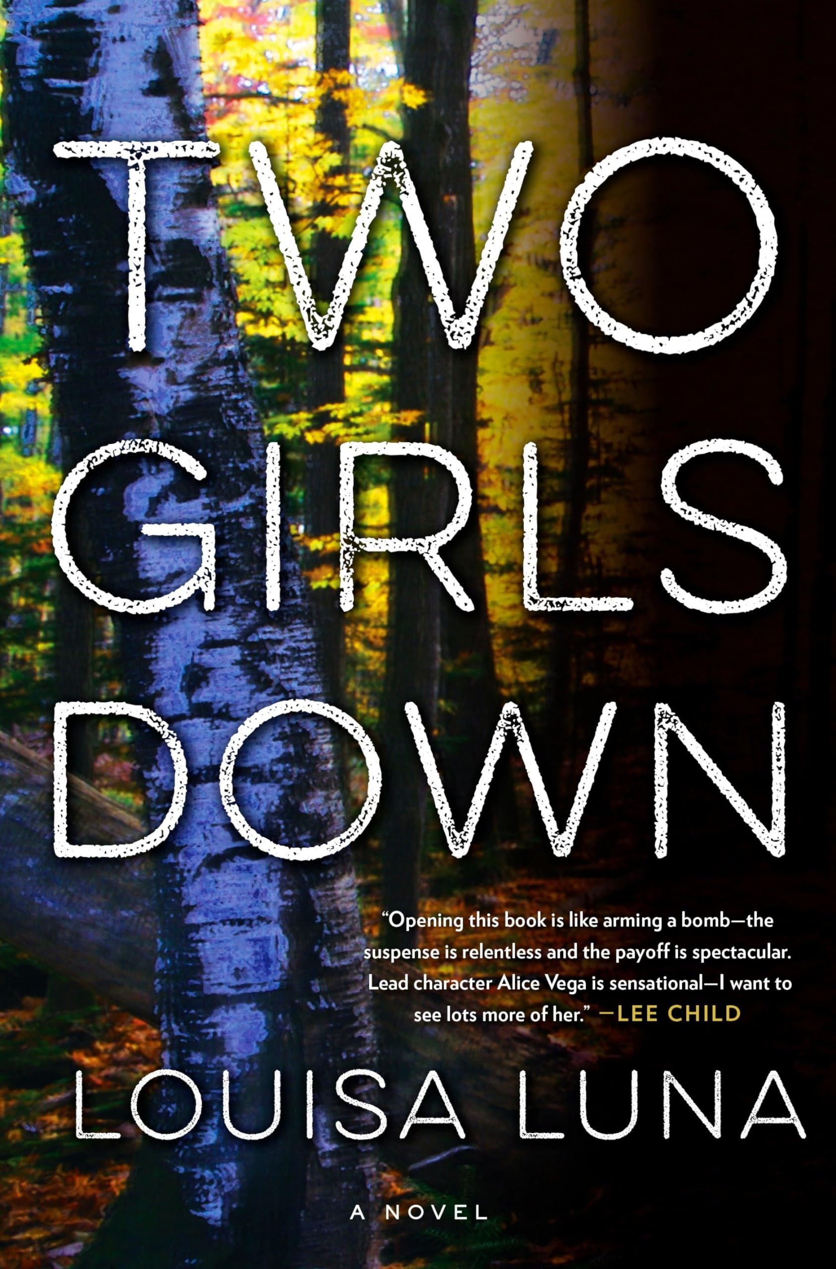 Two Girls Down: A Novel (An Alice Vega Novel) - 6053