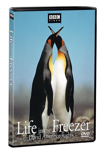 Life in the Freezer - 4091