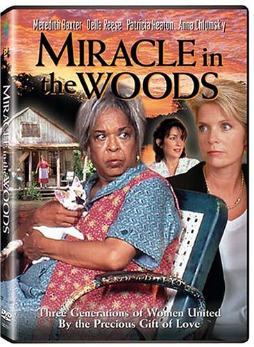 MIRACLE IN THE WOODS - 6554