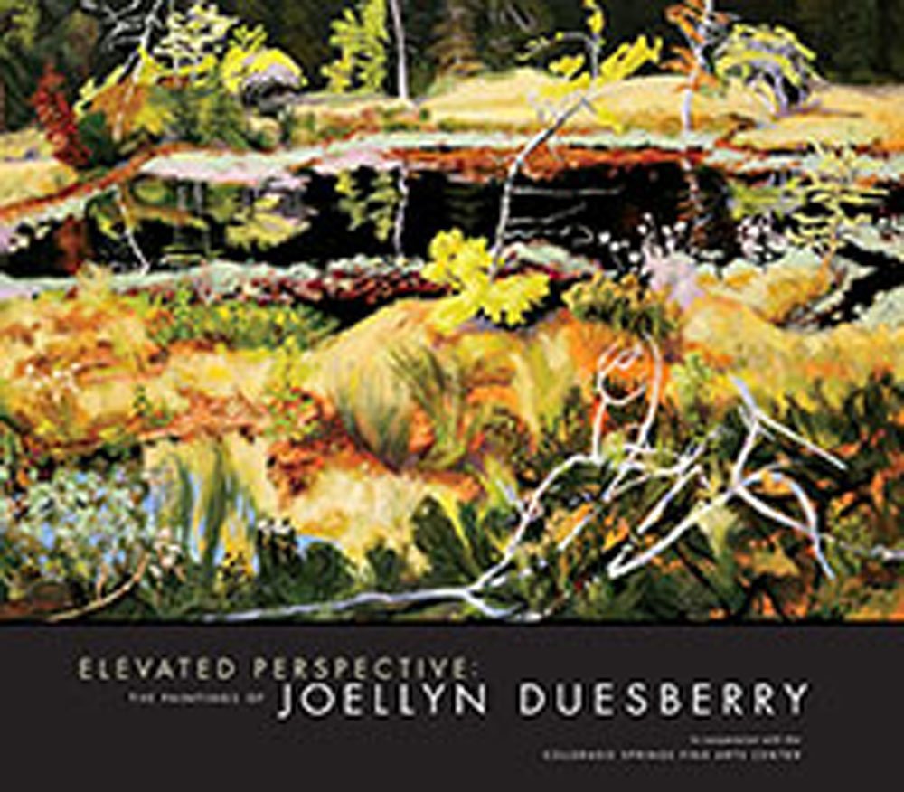 Elevated Perspective: The Paintings of Joellyn Duesberry - 877