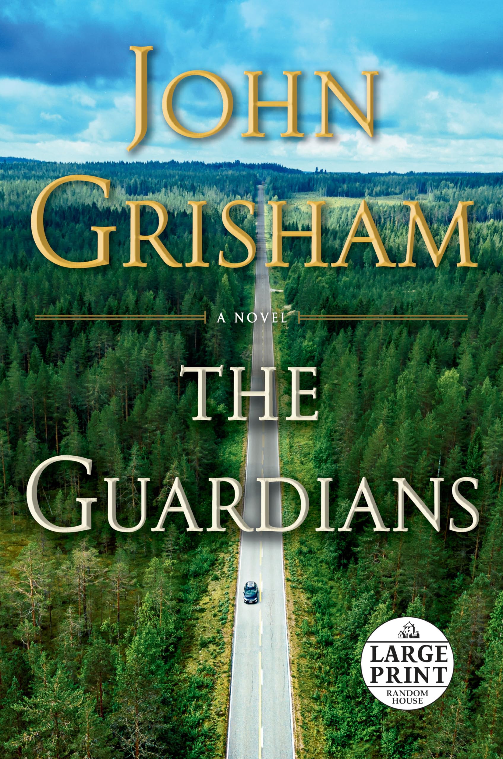 The Guardians: A Novel - 3082