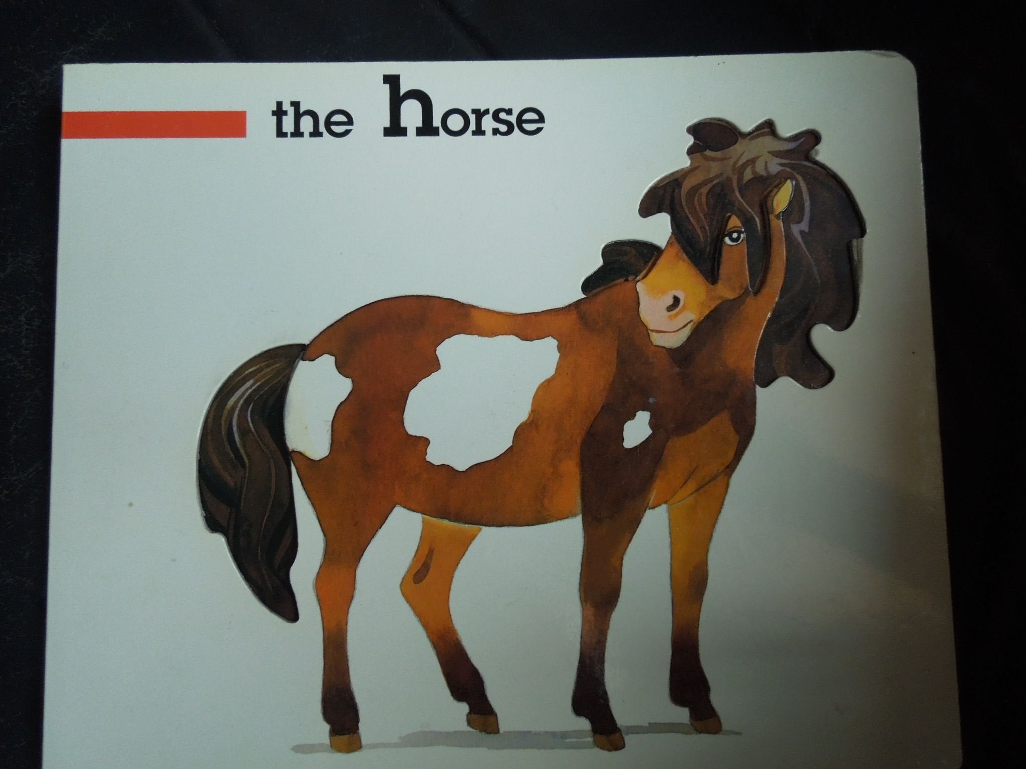 The Horse - 3279