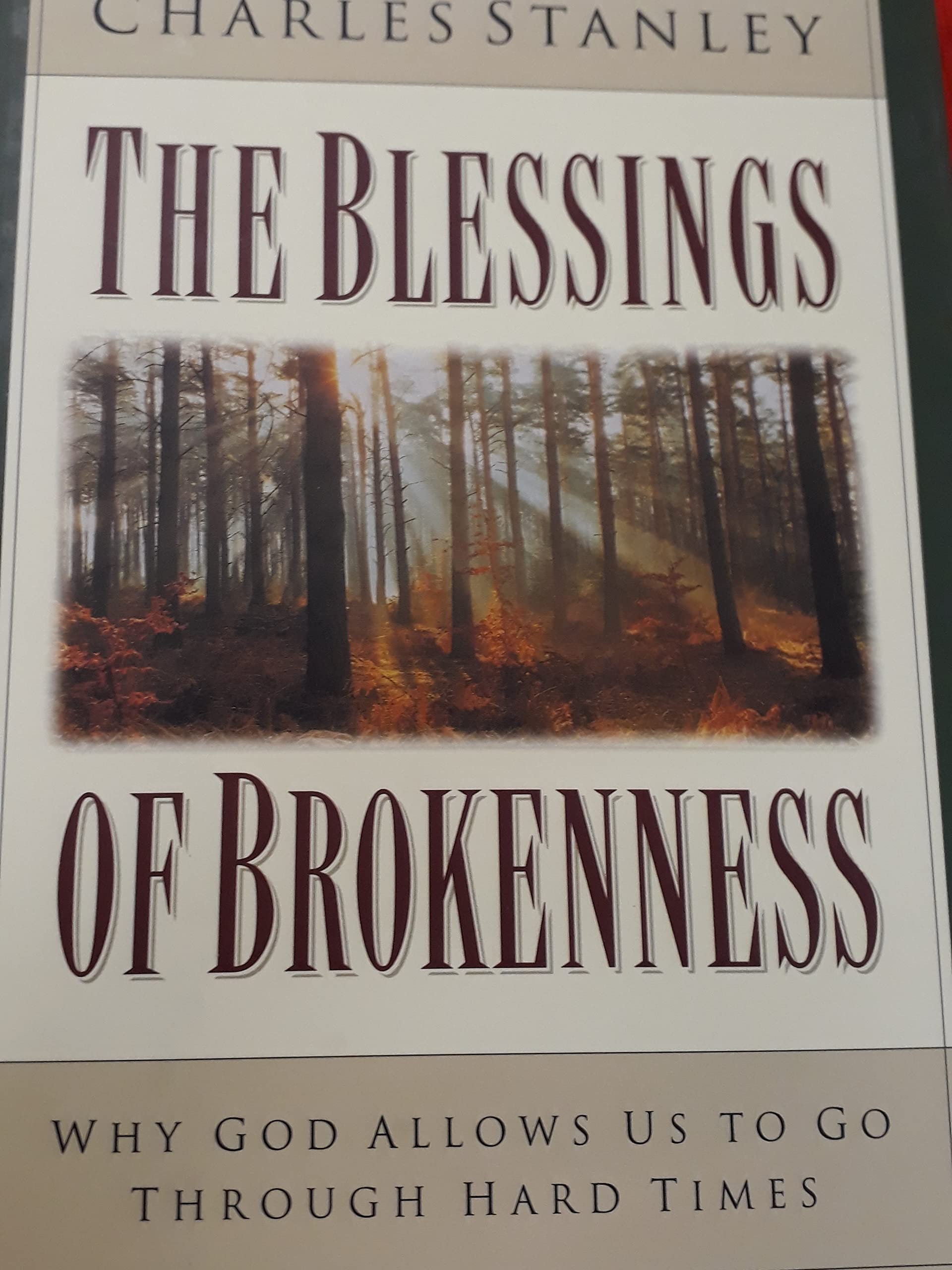 The Blessings of Brokenness: Why God Allows Us to Go Through Hard Times - 3870