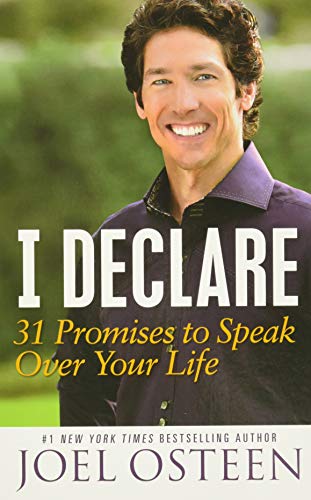 I Declare: 31 Promises to Speak Over Your Life - 8379