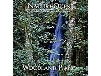 Woodland Piano - 7894