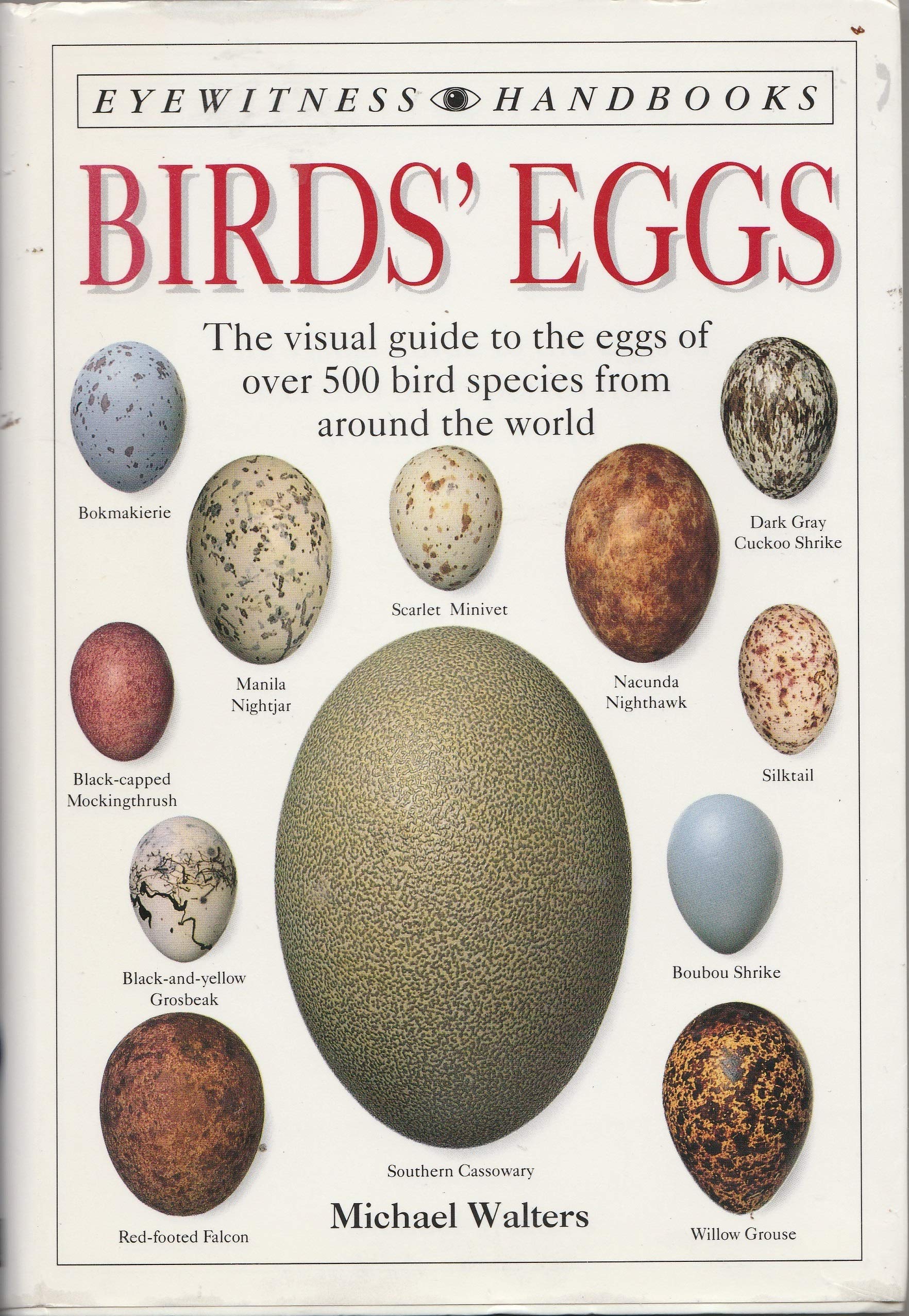 Birds' Eggs (Eyewitness Handbooks) - 3002