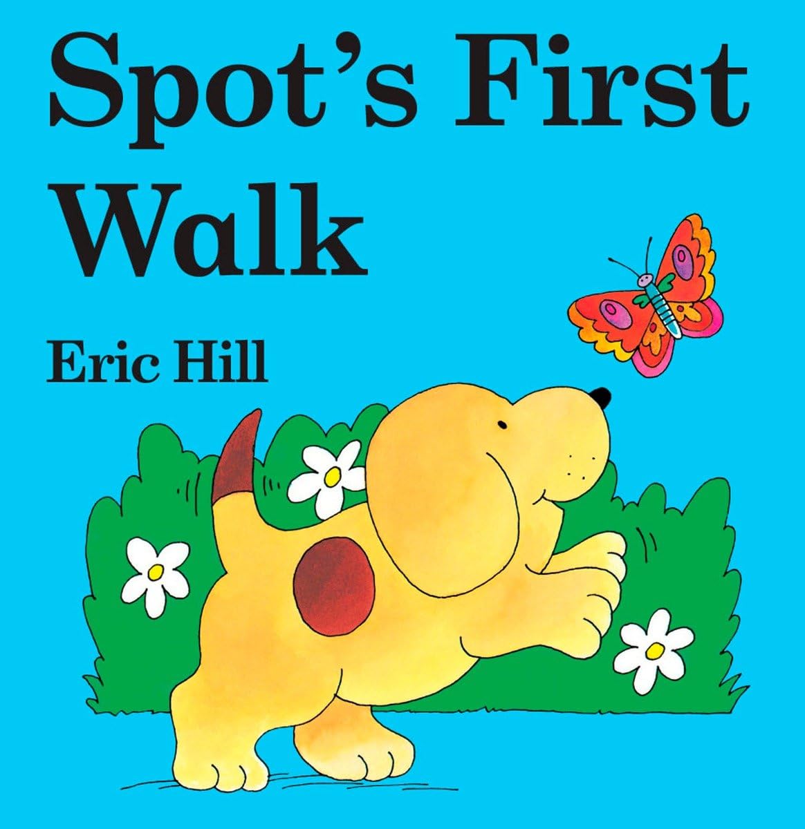 Spot's First Walk - 4664