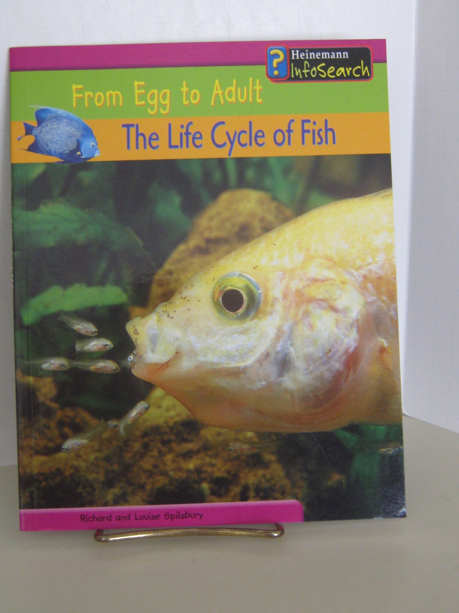 The Life Cycle of Fish (From Egg to Adult) - 9345