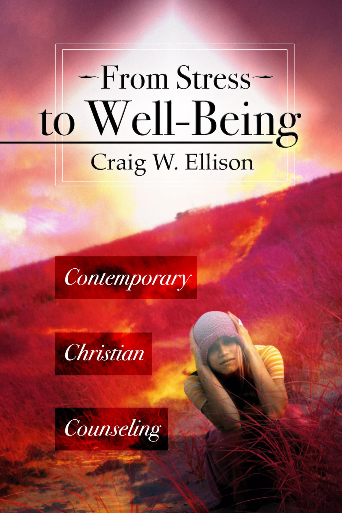 From Stress to Well-Being: Contemporary Christian Counseling - 9087