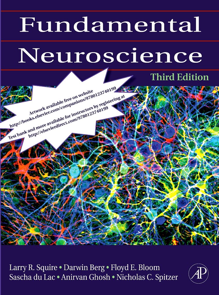 Fundamental Neuroscience - 5334