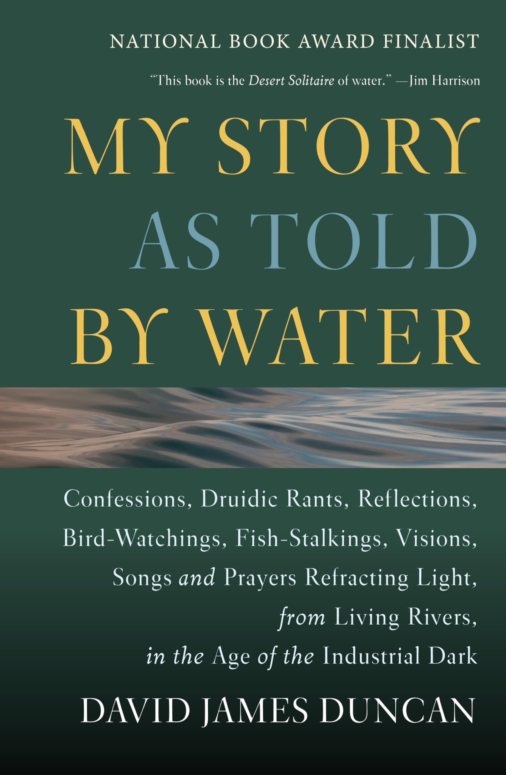 My Story as Told by Water: Confessions, Druidic Rants, Reflections, Bird-watchings, Fish-stalkings, Visions, Songs and Prayers Refracting Light, From Living Rivers, in the Age of the Industrial Dark - 6577