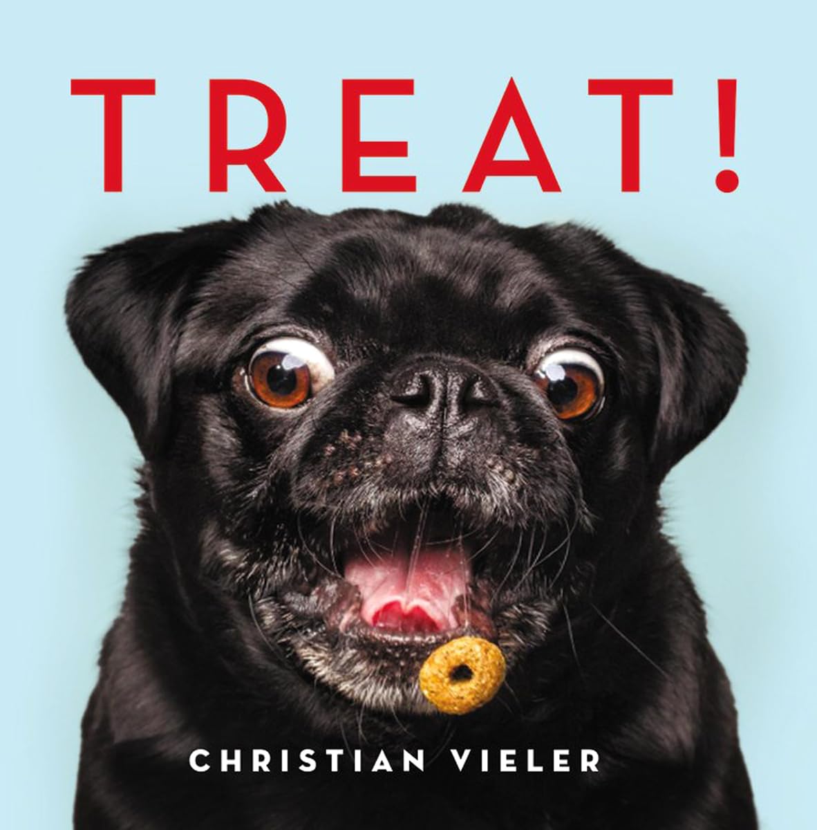 Treat! - 9763