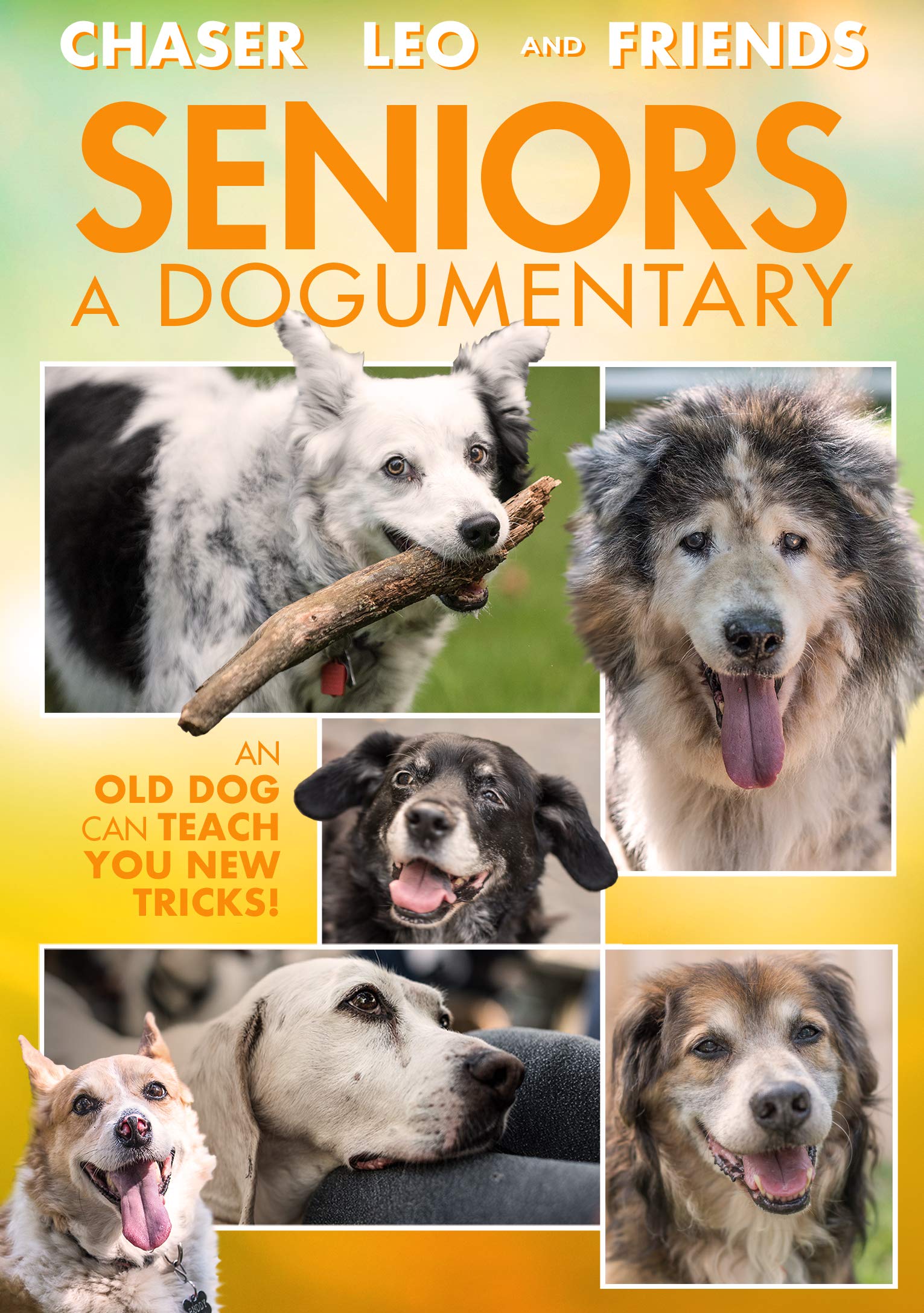 Seniors: A Dogumentary - 2242