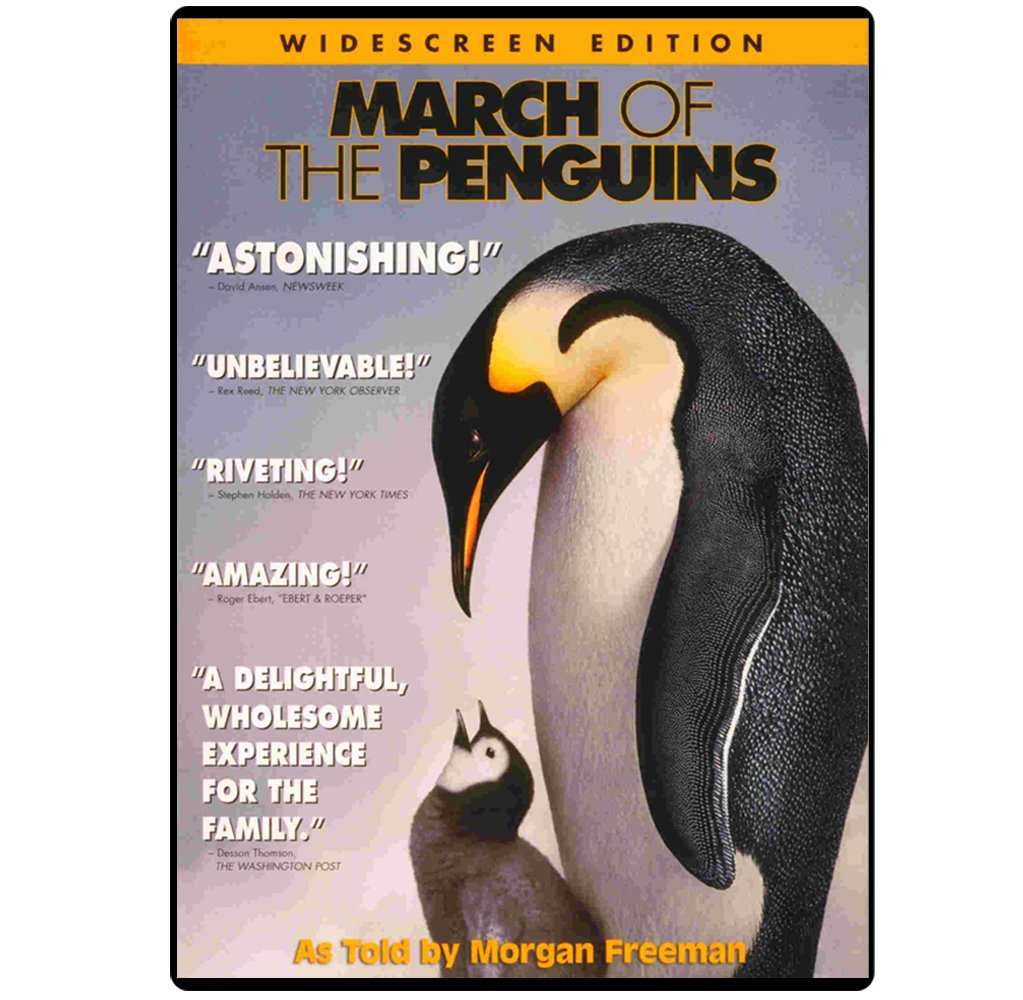 March of the Penguins - 3638