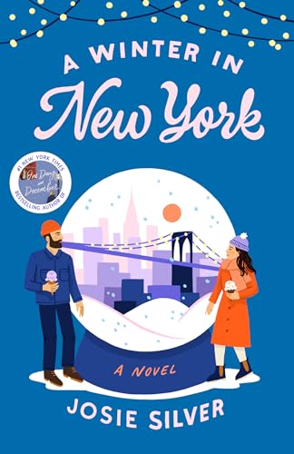 A Winter in New York: A Novel - 9493