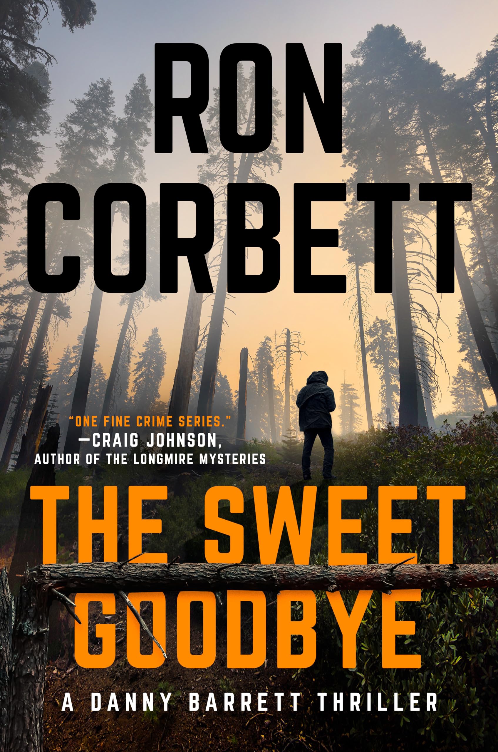 The Sweet Goodbye (A Danny Barrett Novel) - 8490