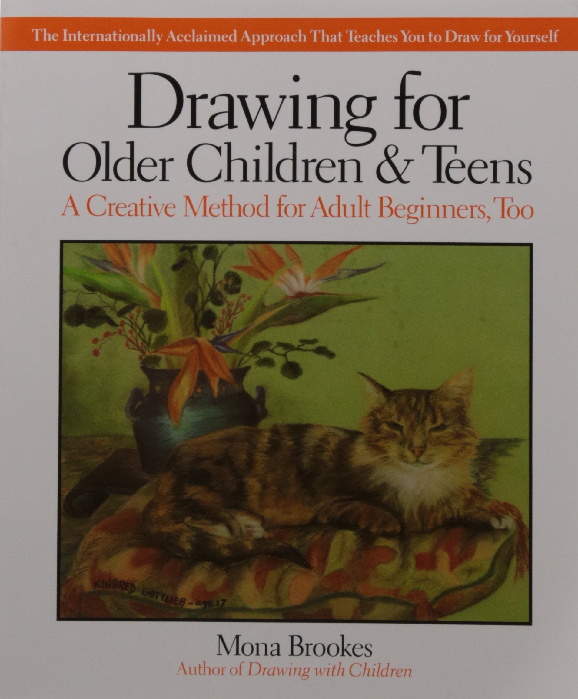 Drawing for Older Children & Teens - 1439