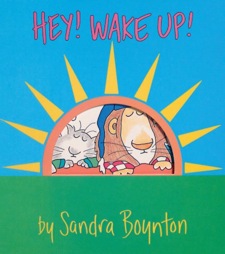 Hey! Wake Up! (Boynton on Board) - 988