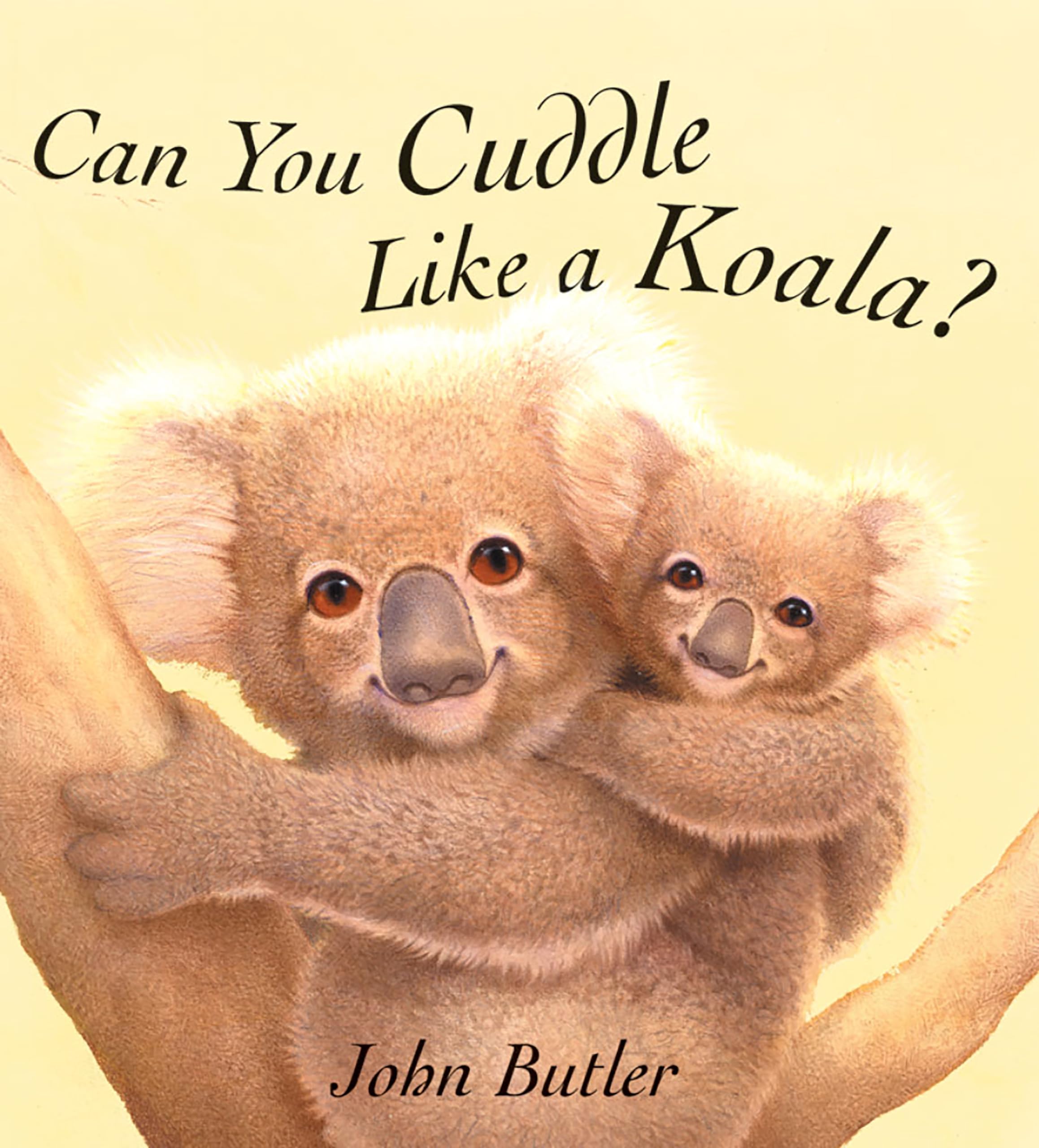 Can You Cuddle Like a Koala? - 5935