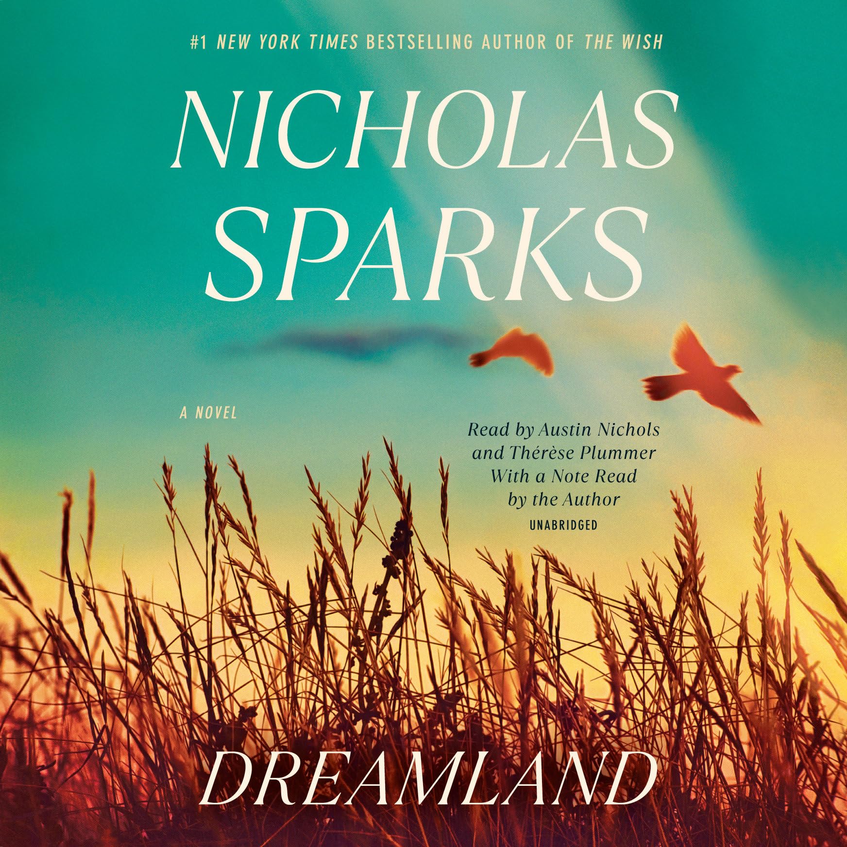 DREAMLAND: A NOVEL - 8160