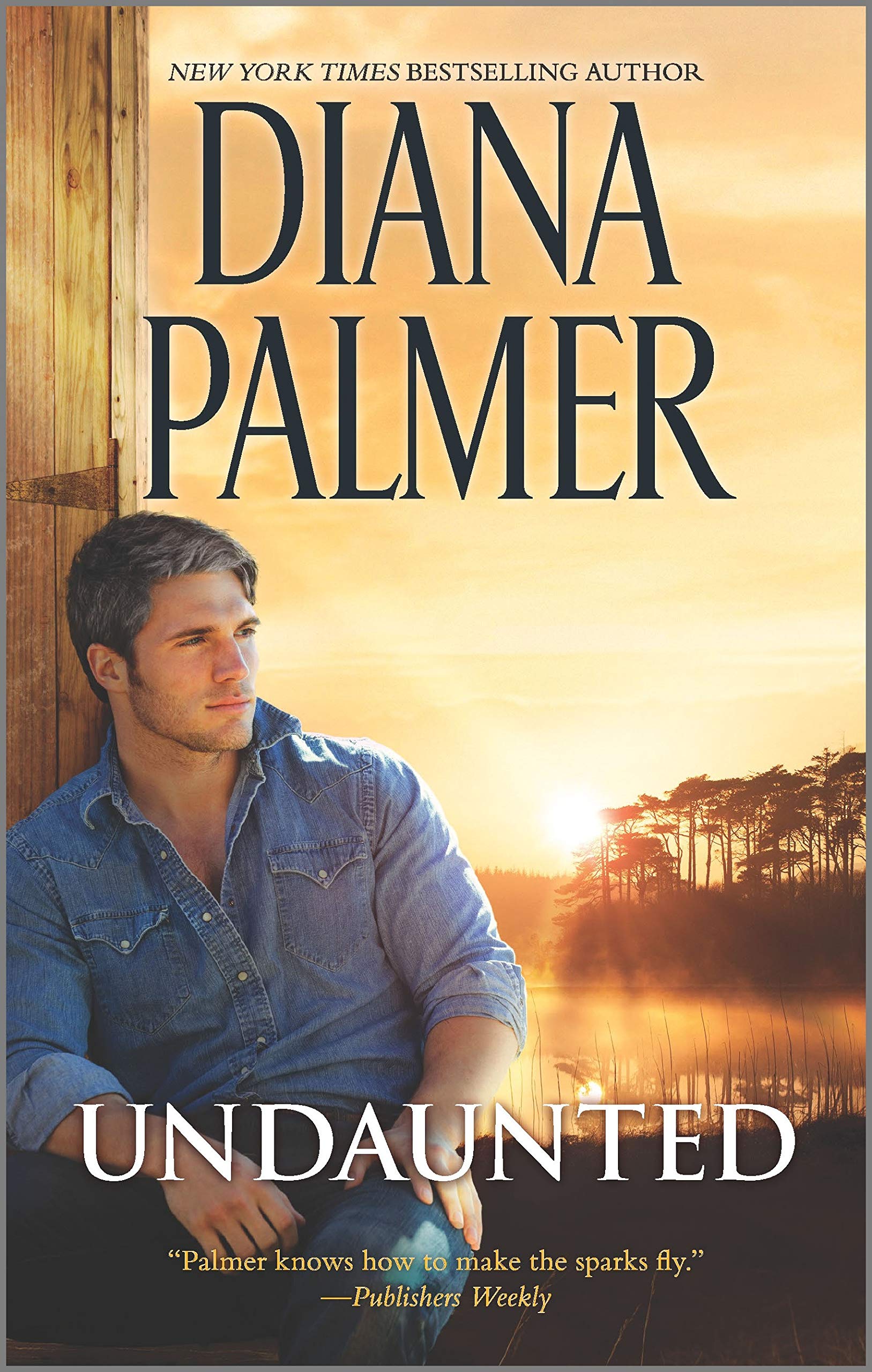 Undaunted: A Western Romance Novel (Long, Tall Texans) - 2832