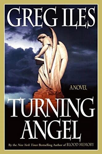 Turning Angel: A Novel - 7026