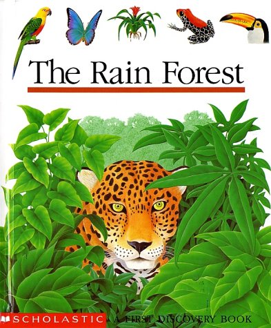 The Rain Forest - 6570