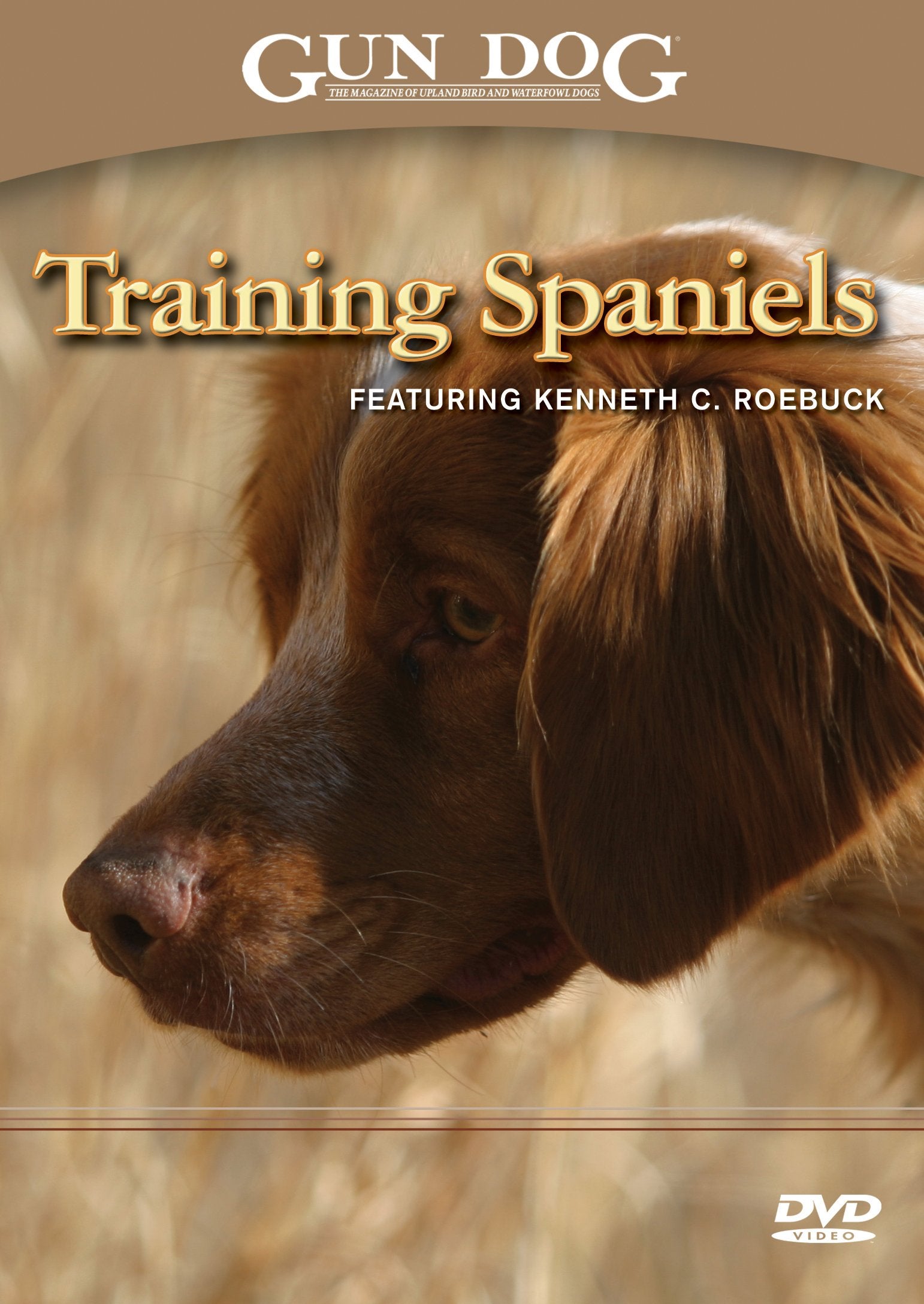 Training Spaniels - 6023