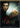 Ip Man 2: Legend of the Grandmaster Collector's Edition - 6498