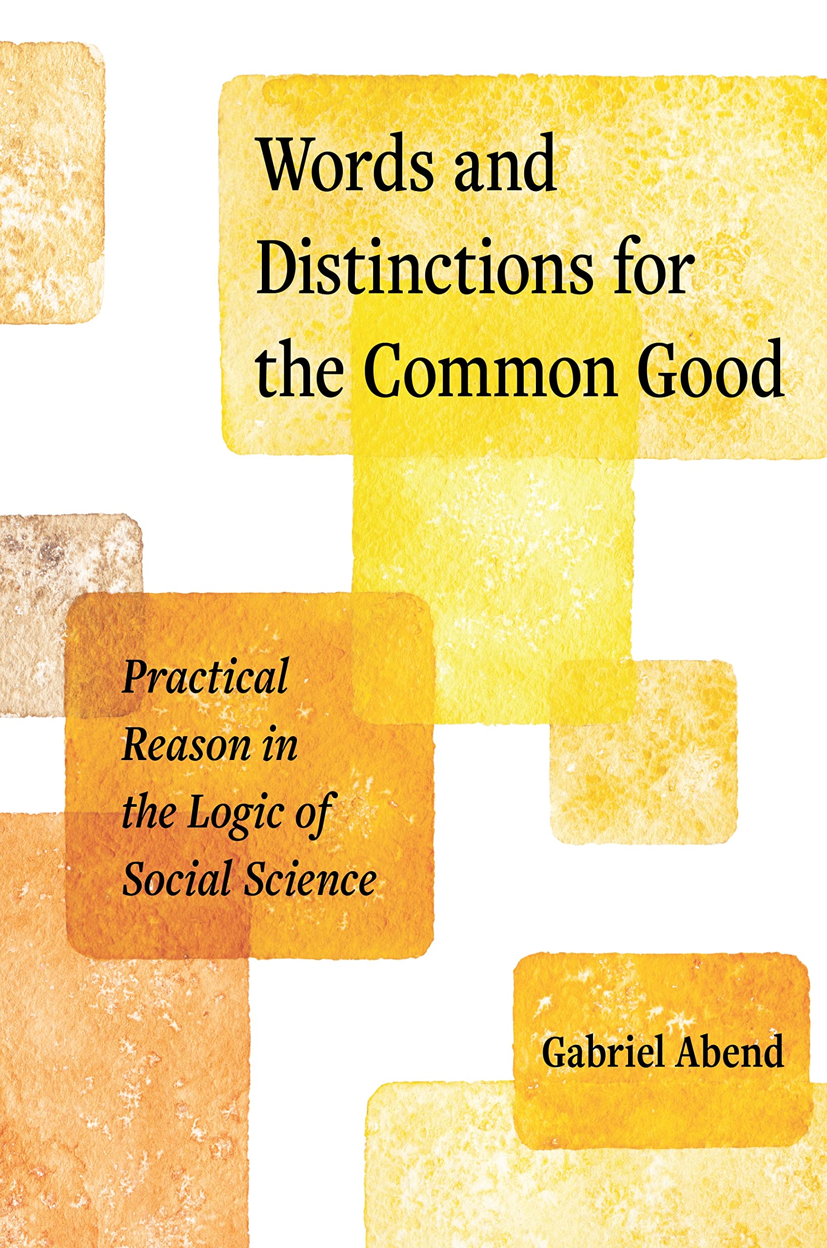 Words and Distinctions for the Common Good: Practical Reason in the Logic of Social Science - 8321