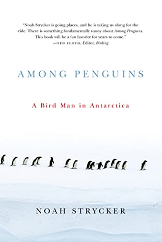 Among Penguins: A Bird Man in Antarctica - 3452