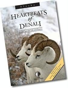 Alaska Heartbeats of Denali - 5477