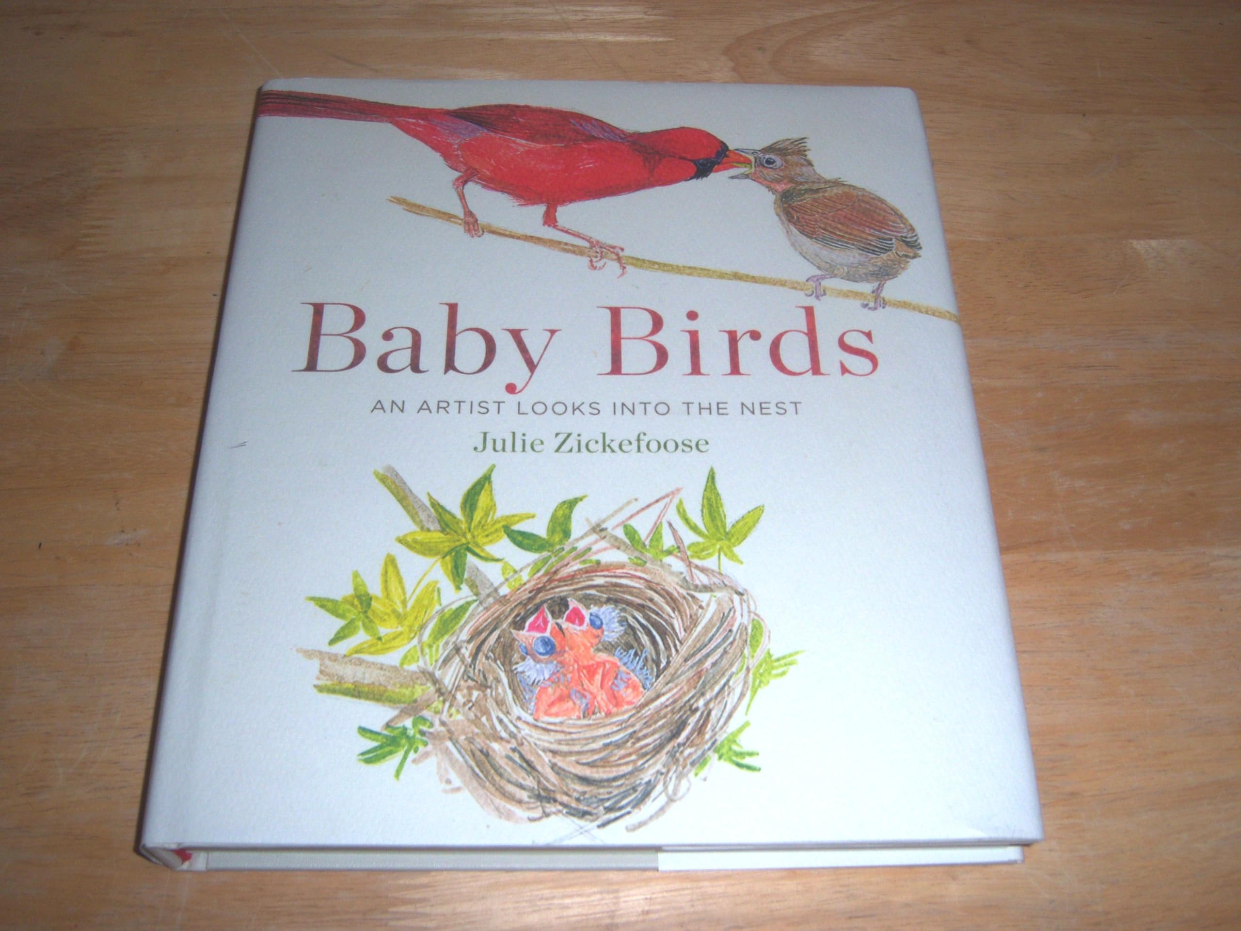 Baby Birds: An Artist Looks into the Nest - 5703