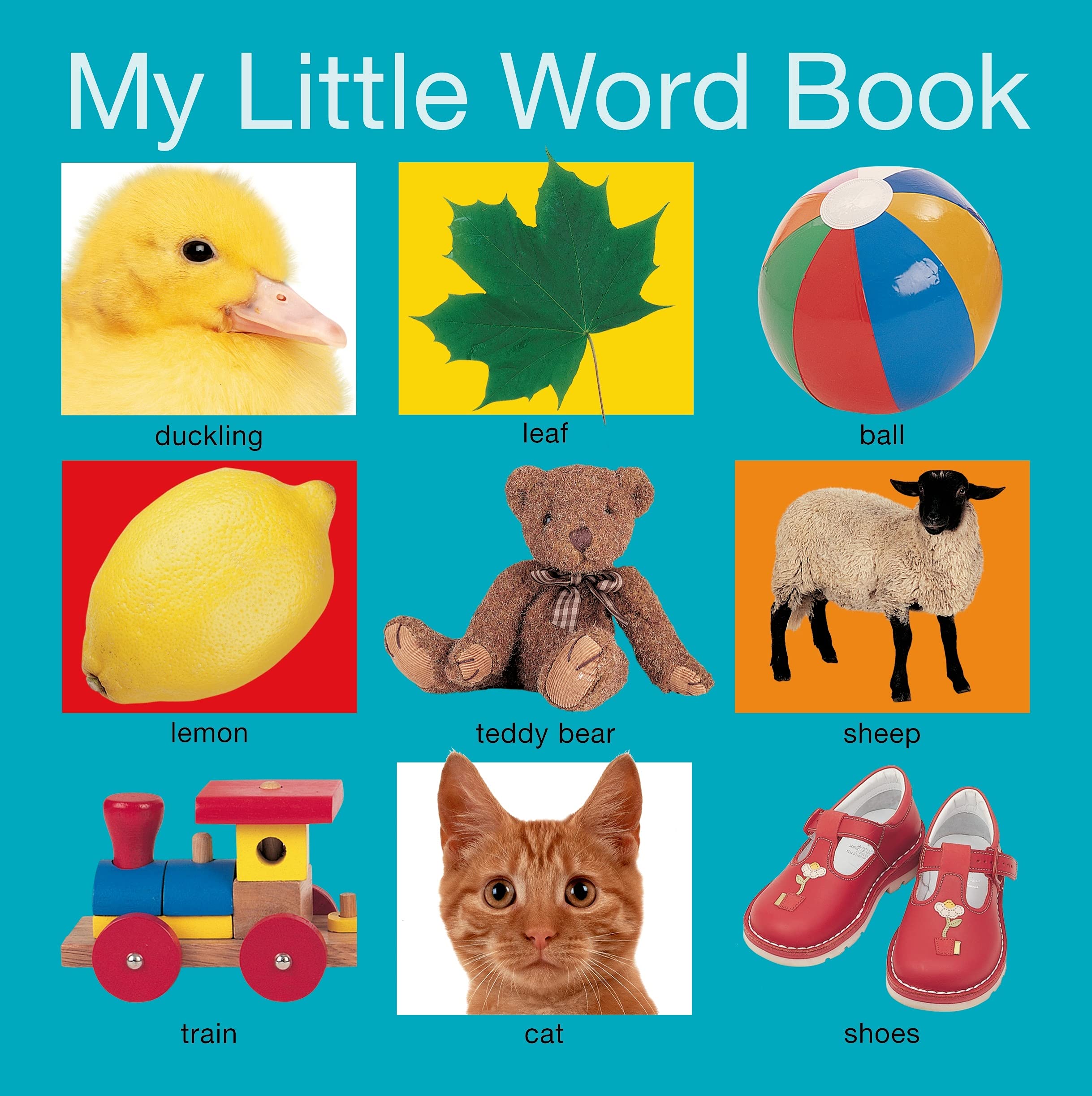 My Little Word Book (My Little Books) - 3677