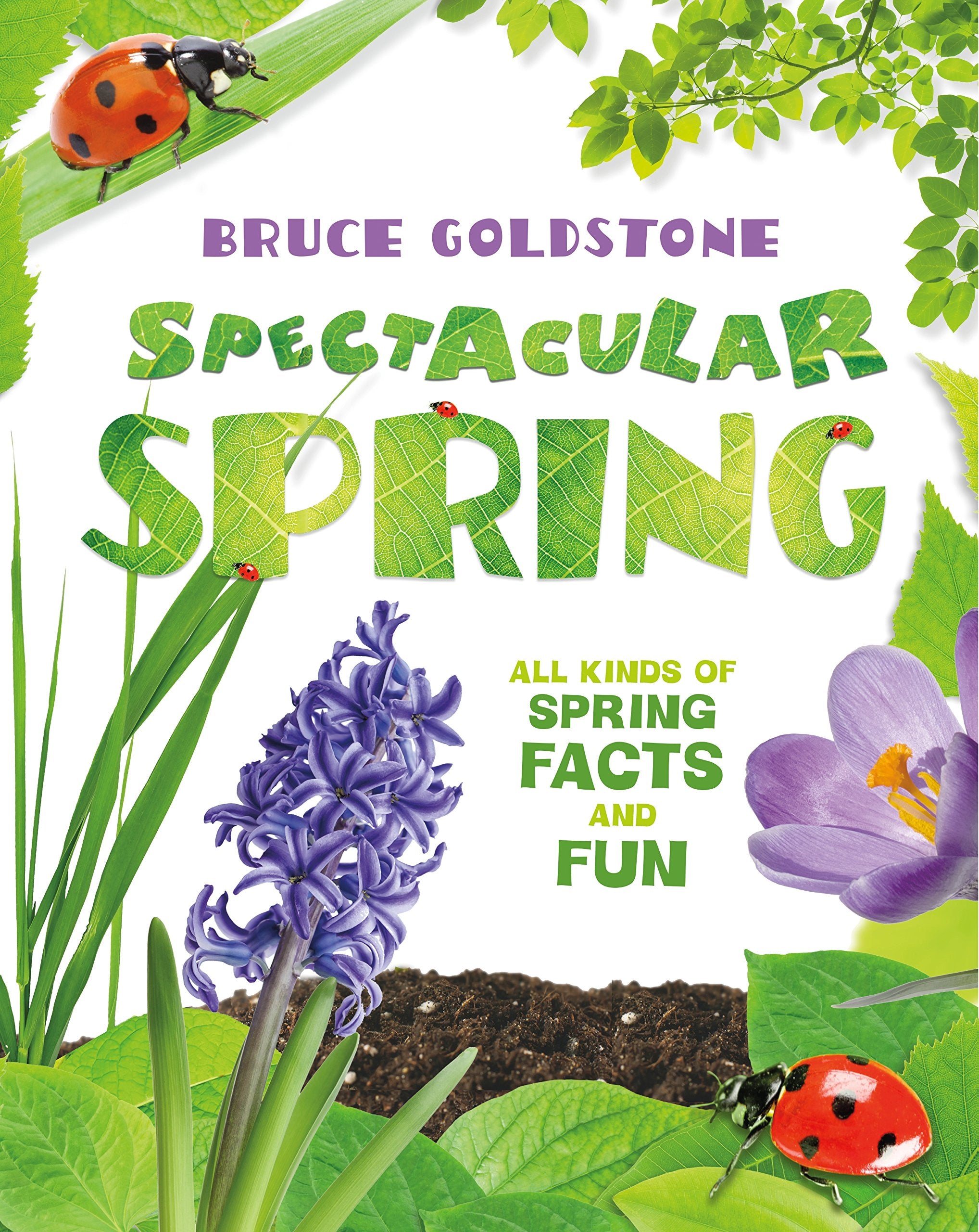 Spectacular Spring: All Kinds of Spring Facts and Fun (Season Facts and Fun) - 9680