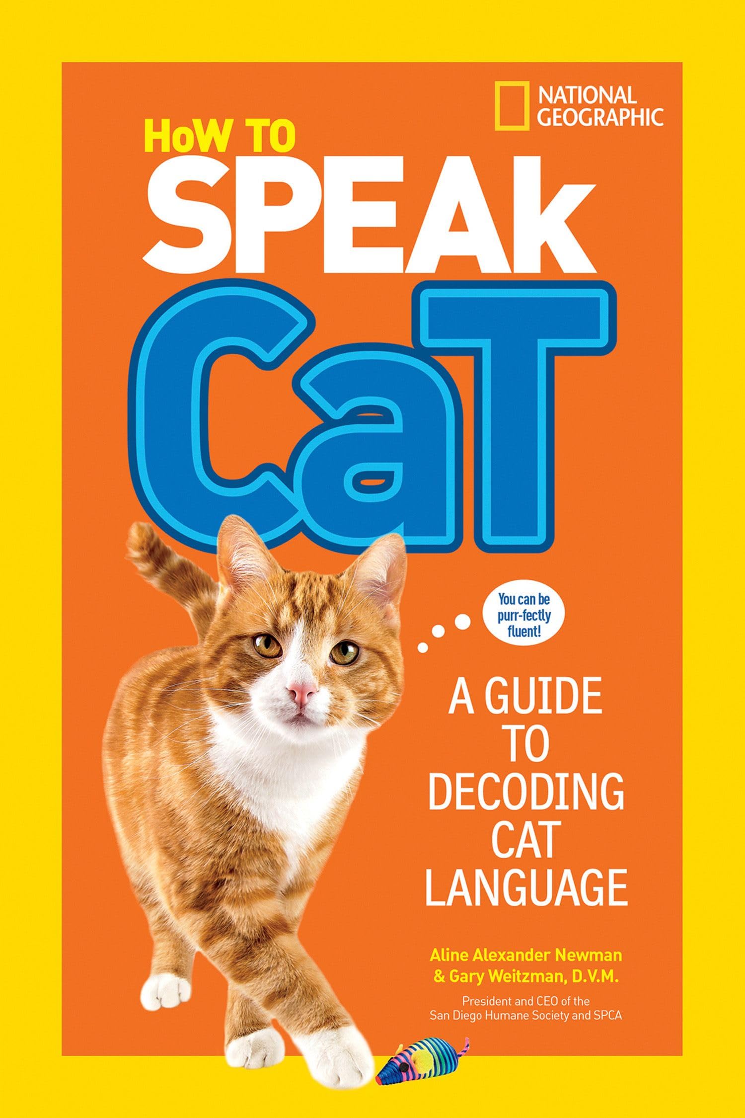 How to Speak Cat: A Guide to Decoding Cat Language - 3956