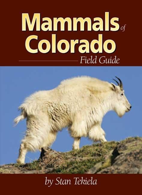 Mammals of Colorado Field Guide (Mammal Identification Guides) - 8824