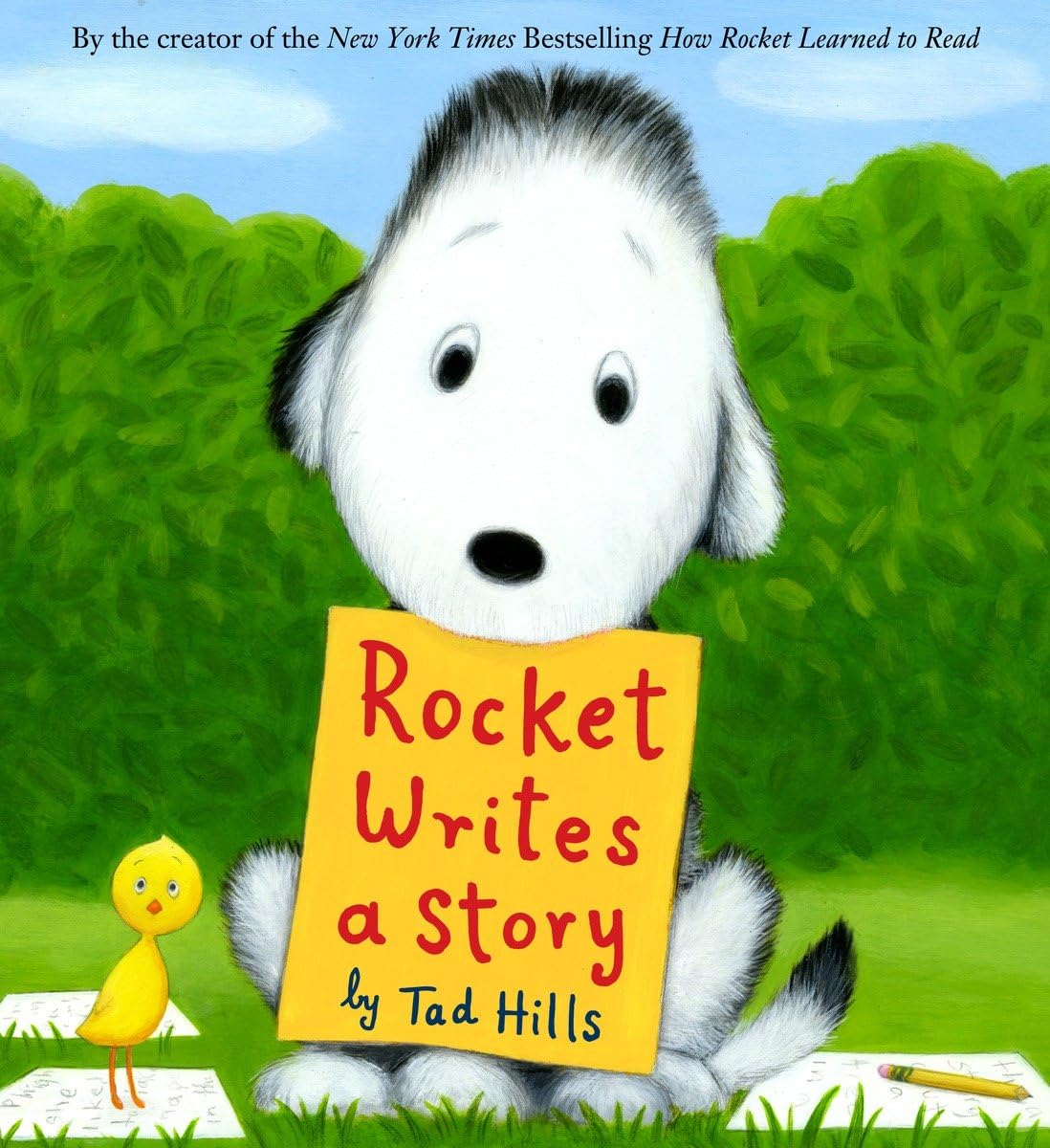 Rocket Writes a Story - 8805