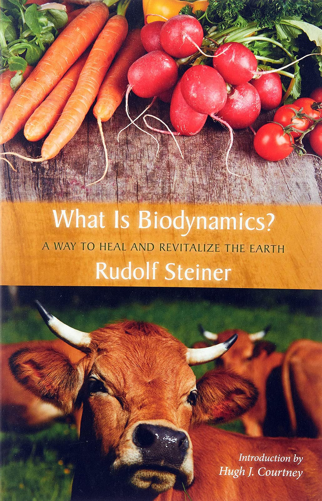 What Is Biodynamics?: A Way to Heal and Revitalize the Earth - 3912