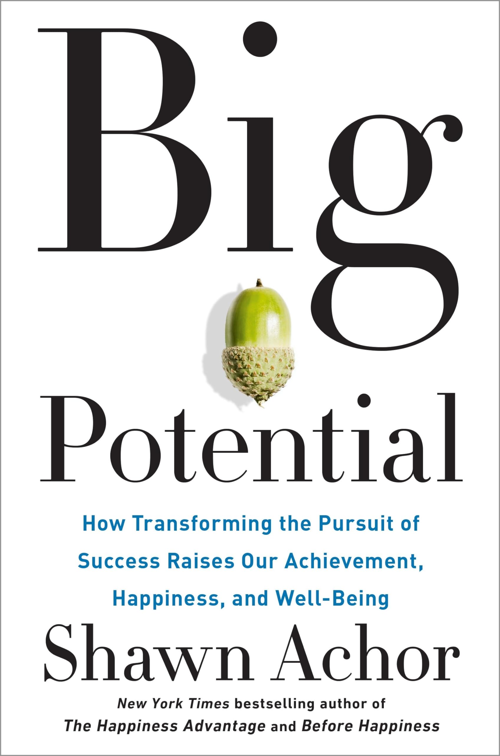 Big Potential: How Transforming the Pursuit of Success Raises Our Achievement, Happiness, and Well-Being - 5562