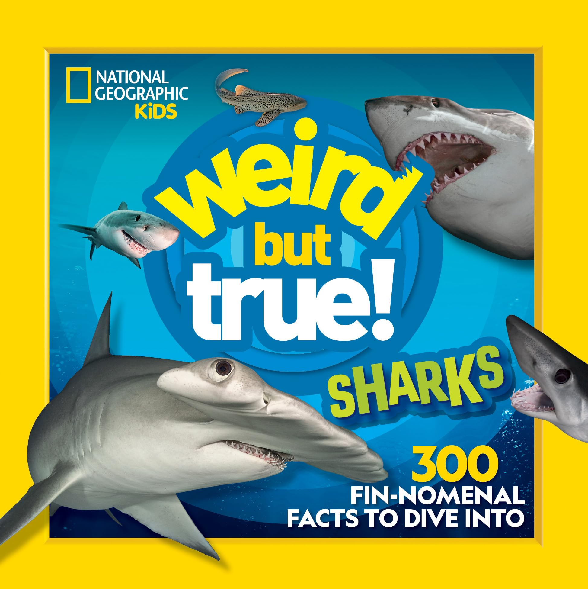 Weird But True Sharks - 9817