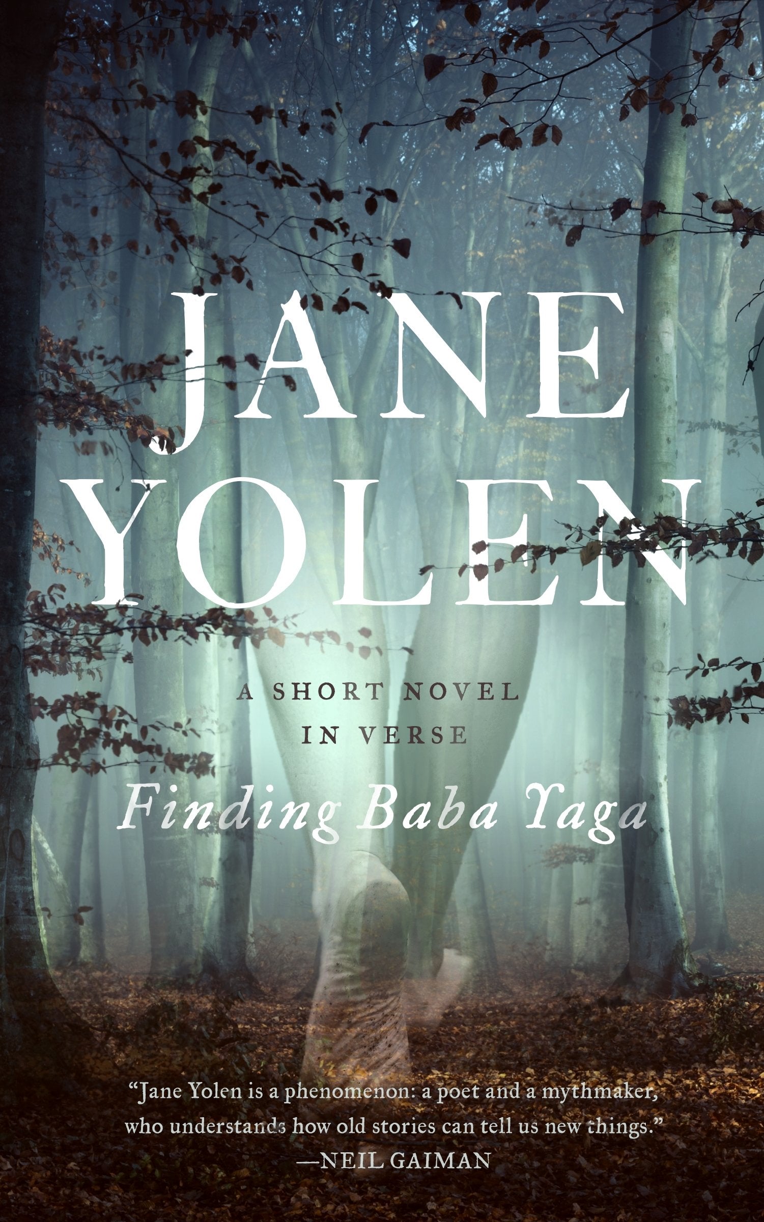 Finding Baba Yaga: A Short Novel in Verse - 492