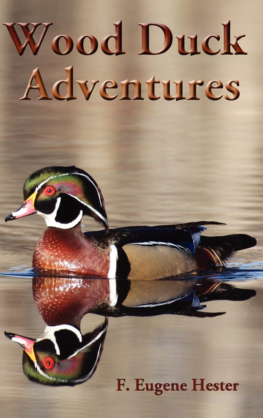 Wood Duck Adventures - 5721