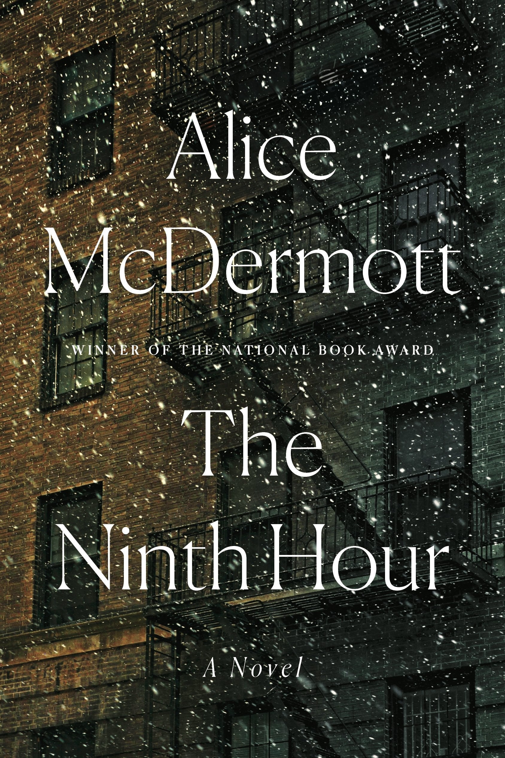 The Ninth Hour: A Novel - 7932