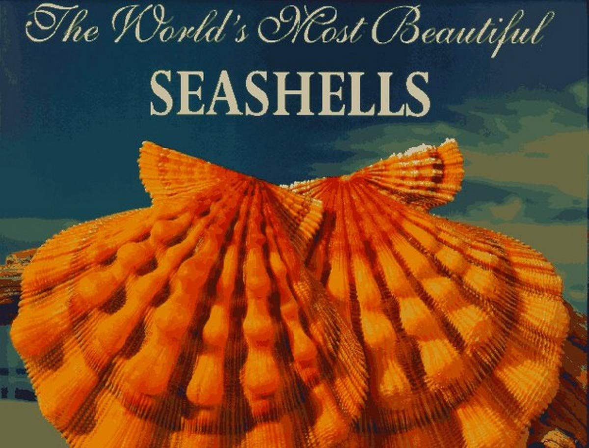 The World's Most Beautiful Seashells (Worlds Most Series) - 7949