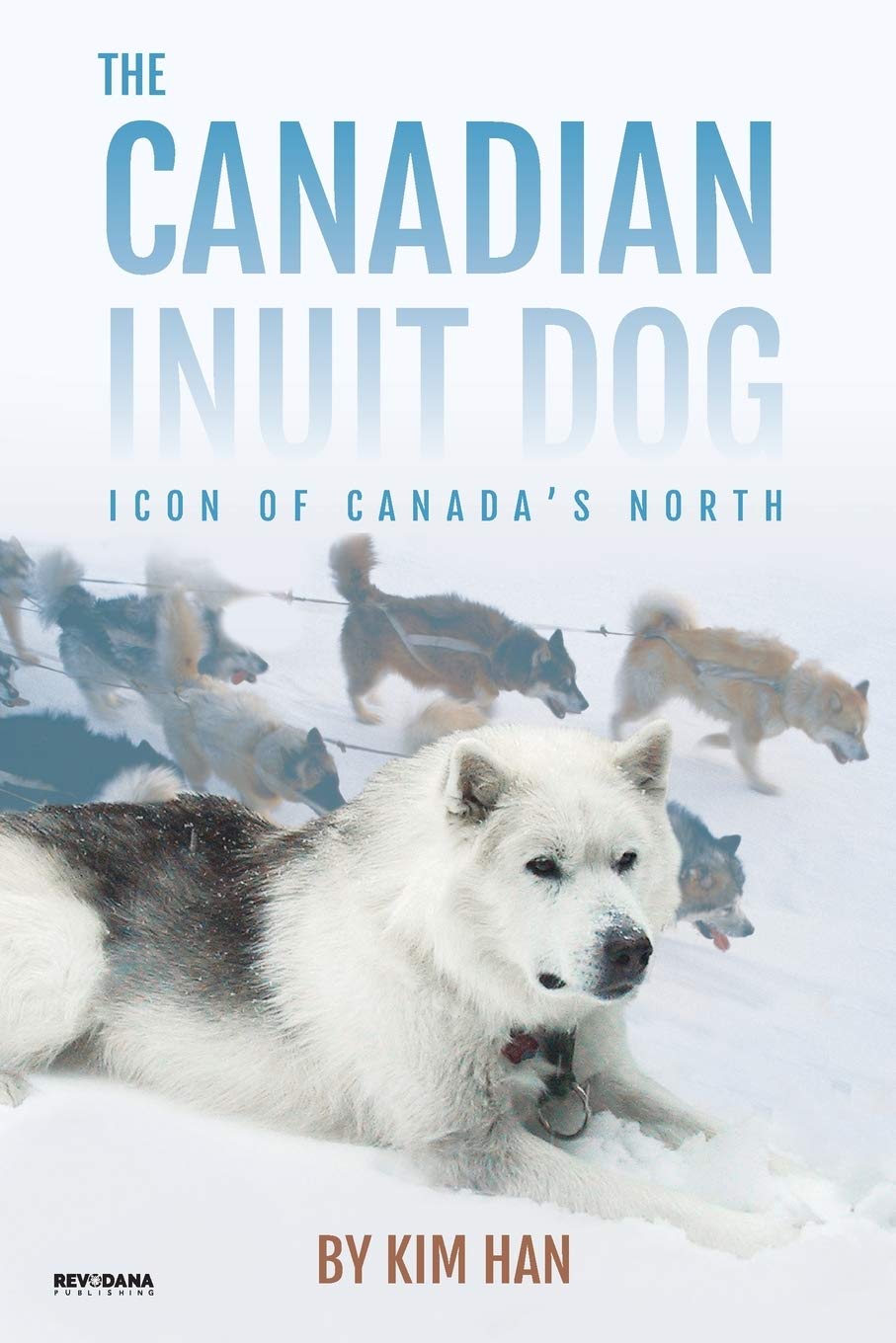 The Canadian Inuit Dog: Icon of Canada's North - 4181