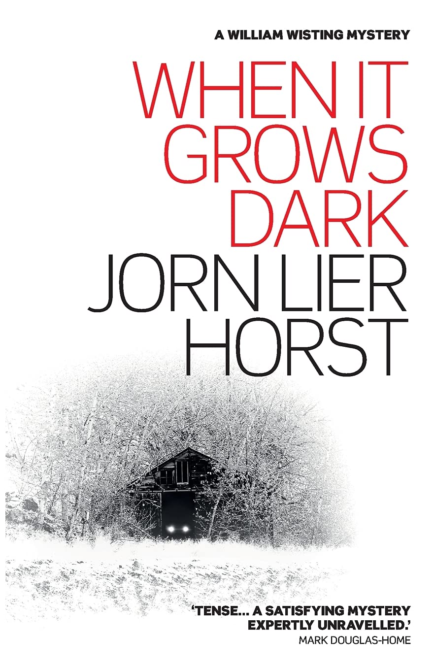 When it Grows Dark (William Wisting Mystery) - 5885